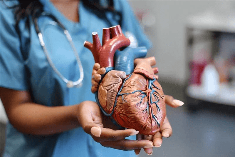 Plastic Surgery Care