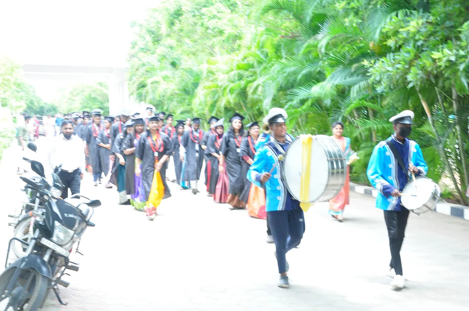 SEDGs support activity