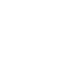 Decorative Right Bottom