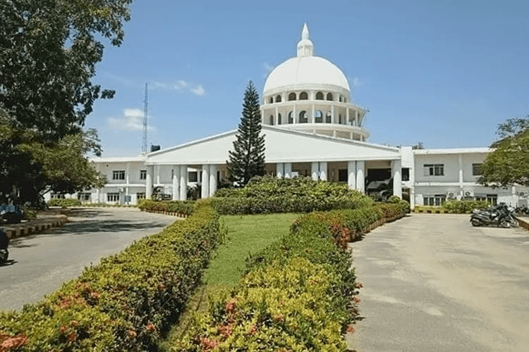 School of Allied Health Sciences